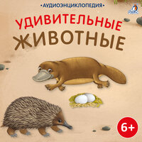 Образ жизни и названия - Валерия Савельева