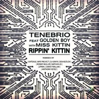 Rippin' Kittin - Tenebrio & Golden Boy & Miss Kittin