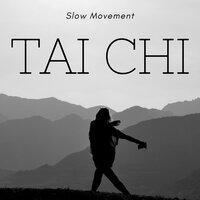Meditation Song - Mindfulness Pro