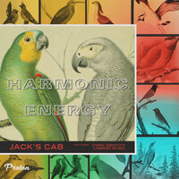 Simulate - Jack's Cab
