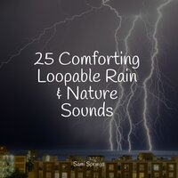 Rain, Light Metal, Window Pane - Restless Baby Music & Sonido de lluvia & Sounds Of Nature : Thunderstorm