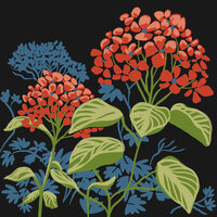 Teens - Hydrangea Dogs