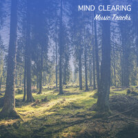 Droplets on the Horizon - Spa & Spa, Spa, Relaxation and Dreams, Spa Music & Spa Music & Spa & Spa & Spa, Relaxation and Dreams
