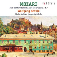 Concerto for Flute and Orchestra No.1 in G Major, K. 313: I. Allegro maestoso - Wolfgang Schulz & Camerata Schulz & Вольфганг Амадей Моцарт