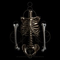 Suffocating the Stars - Slave One