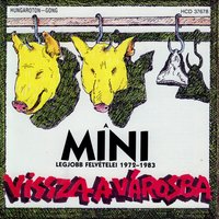 Sirályok - Mini