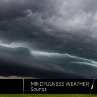 HD Rain - Weather Sounds & Rainy Sounds, Weather Sounds, Help Me Sleep & Help Me Sleep & Rainy Sounds