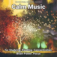 Calm Music for Studying, Reading, Concentration, Brain Power, Focus, Pt. 19 - Calm Music For Studying & Music for Reading & Peaceful Music