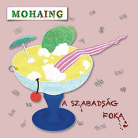Elveszett Szavazat - Mohai Tamás