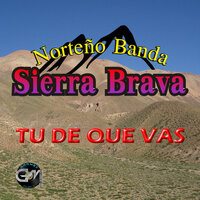 Para Dejarte De Amar - Norteno Banda Sierra Brava