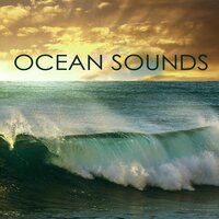 Tibetal Singing Bowls & Ocean Waves for Mindfulness Meditation - Meditation Masters