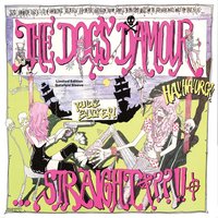 Flying Solo - Dogs D'Amour