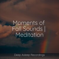 Relaxing Times - Studying Music & Reiki Music & Kings of Nature