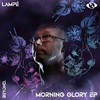 Morning Glory - Lampé
