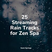 Gentle Lapping Waves - Classical Study Music & Nature Recordings & Bath Spa Relaxing Music Zone
