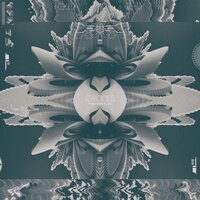 Flux - Cnopes & smol