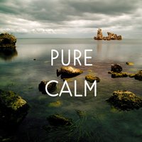 Pure Noise - New Age Instrumental Music
