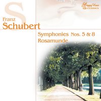 Symphony No. 8, in B Minor, Unfinished, D. 759: I. Allegro moderato - Tbilisi Symphony Orchestra & Odysseas Dimitriadis & Франц Шуберт