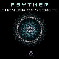 Not My Fault - Psyther
