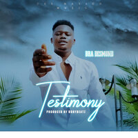 Testimony - Bra Desmond