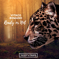 Ready Or Not - Vitaco & Romano & Maxim Andreev
