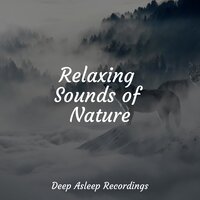 Eastern Sun - Ambient Music Therapy & Namaste Yoga & Musica Para Dormir y Sonidos de la Naturaleza