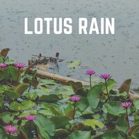 Rain and Piano Dreamy Music for Peaceful Sleep, Pt. 11 - Relaxing Rain Sounds