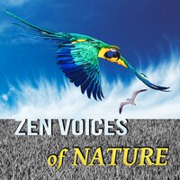 Soothing Music - Mothers Nature Music Academy