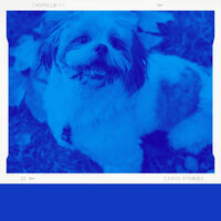 Spectacular Moods for Resting Dogs - Dog Music Library