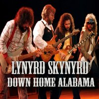 Freebird - Lynyrd Skynyrd
