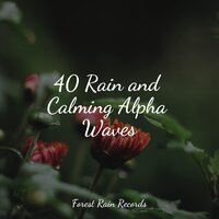 Rainforest Nature Ambience - Wave Sound Group & Ambient Music Therpy & Shakuhachi Sakano