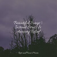 A Sound to Focus - Life Sounds Nature & Brain Study Music Guys & Binaural Beats Brain Waves Isochronic Tones Brainwave Entrainment