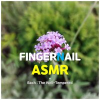 Sound of fingernails rubbing - ASMR