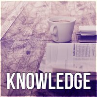 Simple Solution - Brain Training Society