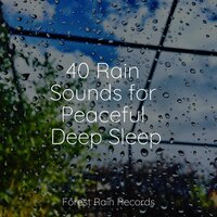 Tranquil Waves - Kinderlieder-Superstar & Zen Music Garden & Deep Horizon Waves