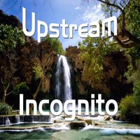 Truly Yours - Incognito