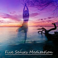 Sentimental Mood - Five Senses Meditation Sanctuary