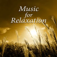 Desert Spa - Joga Relaxing Music Zone
