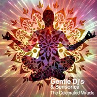 The Celebrated Miracle - Gentle Dj's & Sensorica