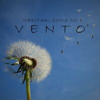 Meditar: Sons do Vento, Pt. 24 - Meditação Música Ambiente
