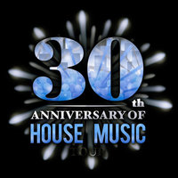 Dance the Night Away (feat. LeA Robinson) - Jesse Saunders & Lea Robinson