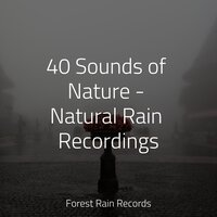 Tranquil Seas - Rising Higher Meditation & Study Music & Sounds & Rain Sounds & Nature Sounds