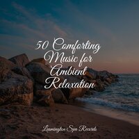 Background Music - Meditative Music Guru & Tinnitus & White Noise Relaxation