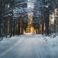A Dash of Christmas - The Christmas All-Stars & Christmas Pianobar & Last Christmas Stars