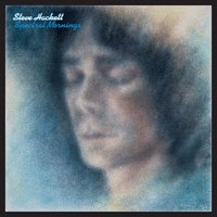 The Virgin And The Gypsy - Steve Hackett