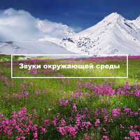 Мартовский кот Звуки природы - Music of nature for you & Nature Sounds & Zen Meditate & Lo Fi My Lounge
