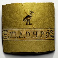Híbrida - PHOENIX RDC & Annie Vybz
