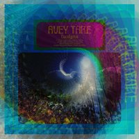 Lunch Out of Order Pt. 1 - Avey Tare