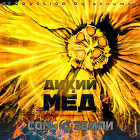 Дикий мёд - Соль земли