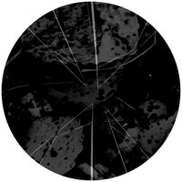 Blizz - Exos